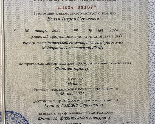 Dipl 002
